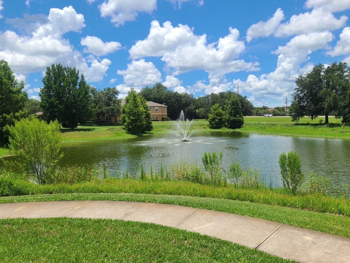 5901 BRICKLEBERRY LANE, #203, Zephyrhills, FL 33541
