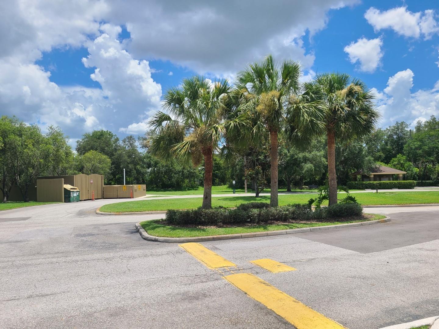 5901 BRICKLEBERRY LANE, #203, Zephyrhills, FL 33541