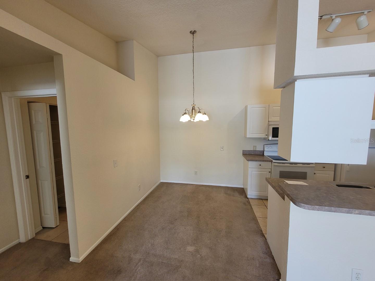 5901 BRICKLEBERRY LANE, #203, Zephyrhills, FL 33541