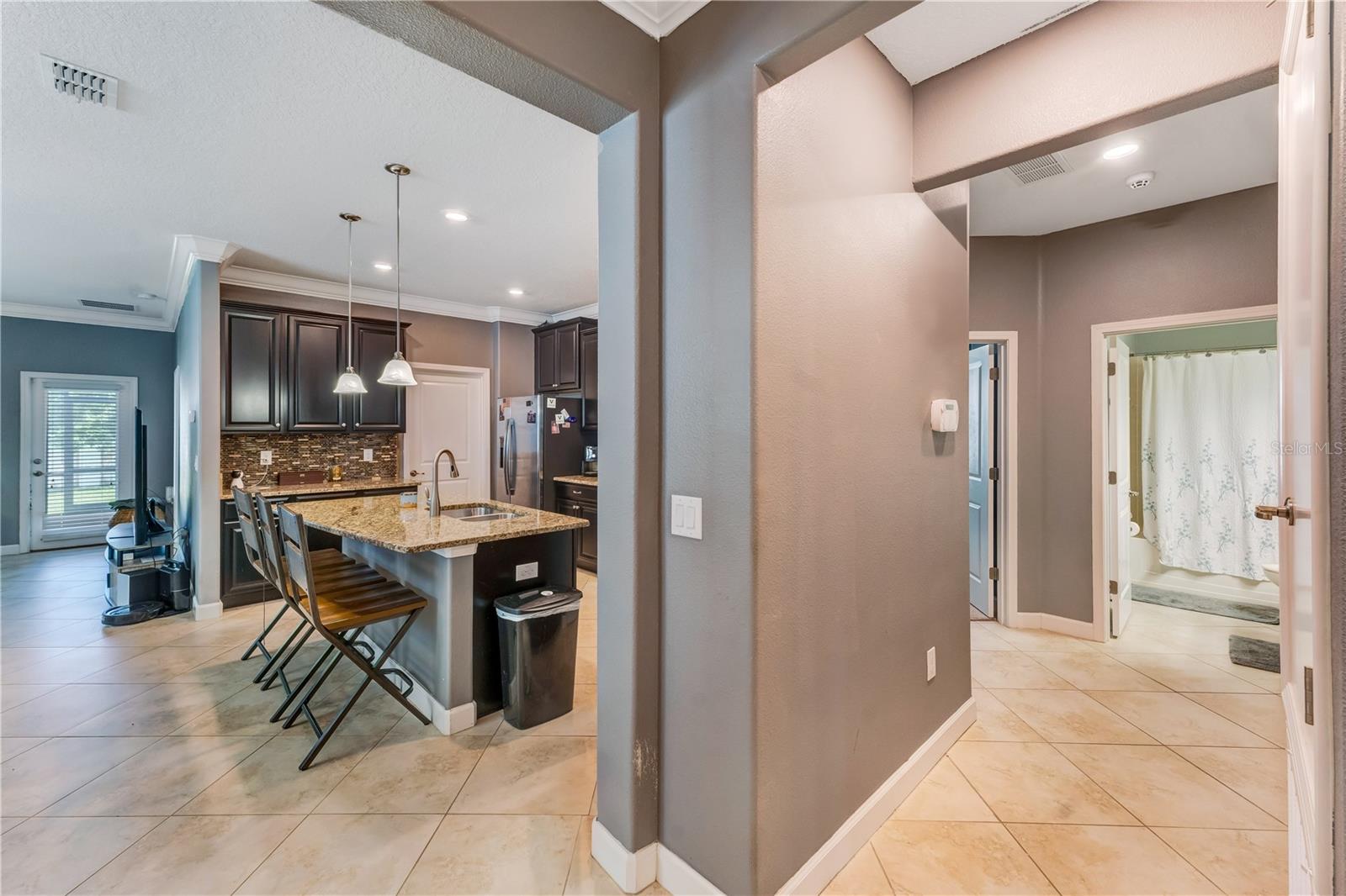 13156 GREEN VIOLET DRIVE, Riverview, FL 33579
