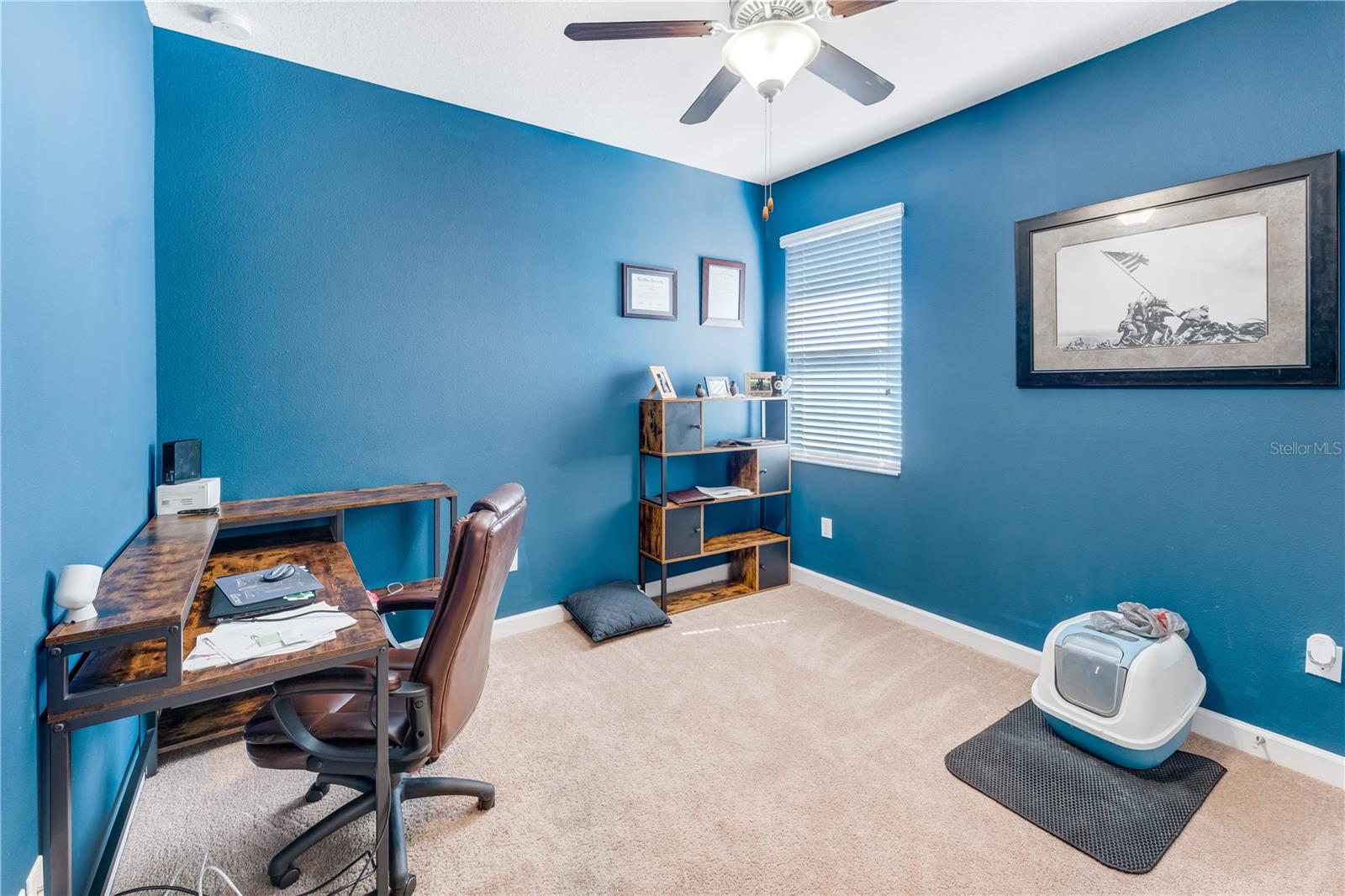 13156 GREEN VIOLET DRIVE, Riverview, FL 33579