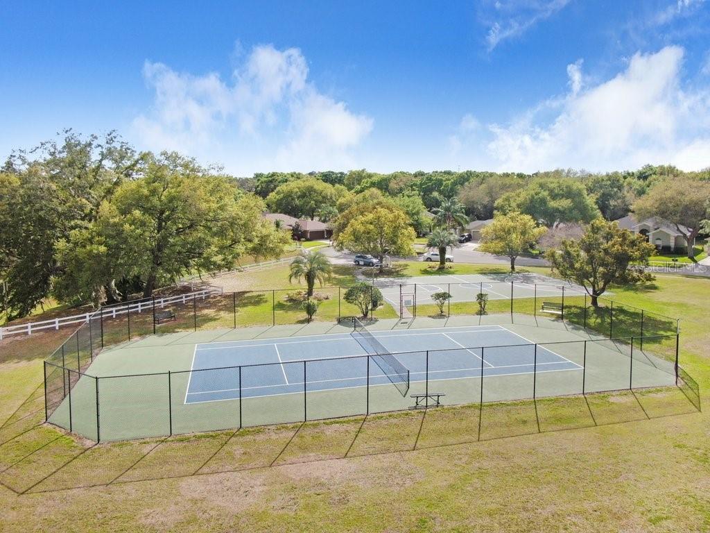 4810 WATER LARK WAY, Valrico, FL 33596