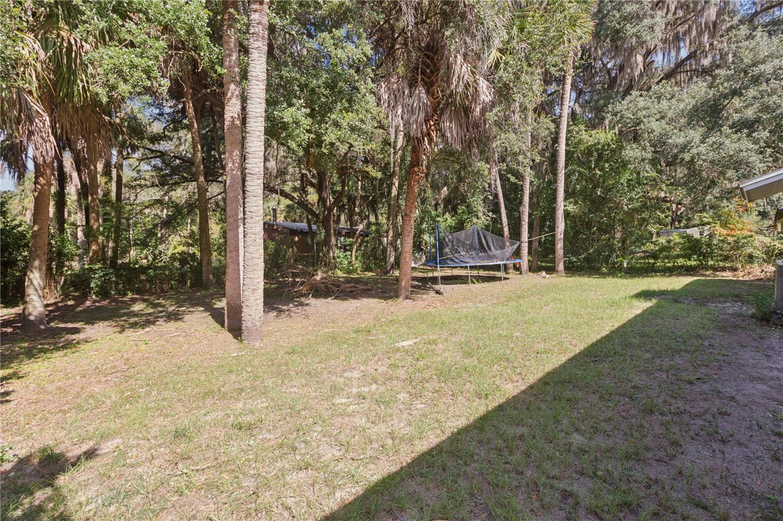 1585 W J WILLIAMS LANE, Dunnellon, FL 34434