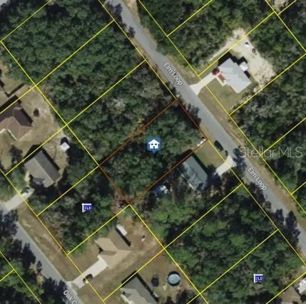 ELM LOOP, Ocala, FL 34470 ELM LOOP, Ocala, FL 34470