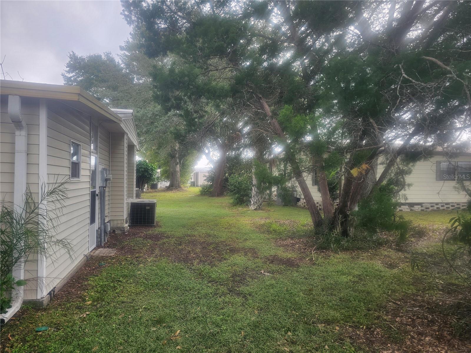 Back Yard