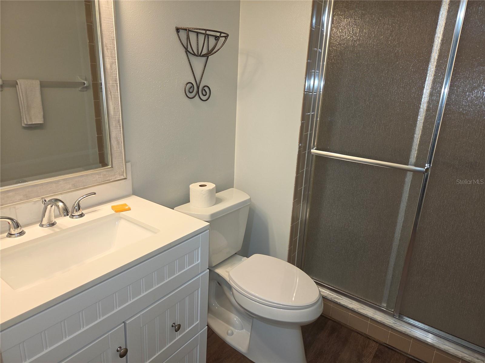 Updated Guest bathroom has walk-in shower