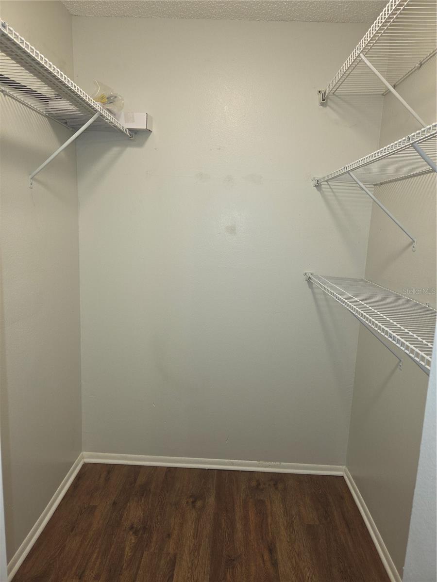 Guest bedroom walk-in closet