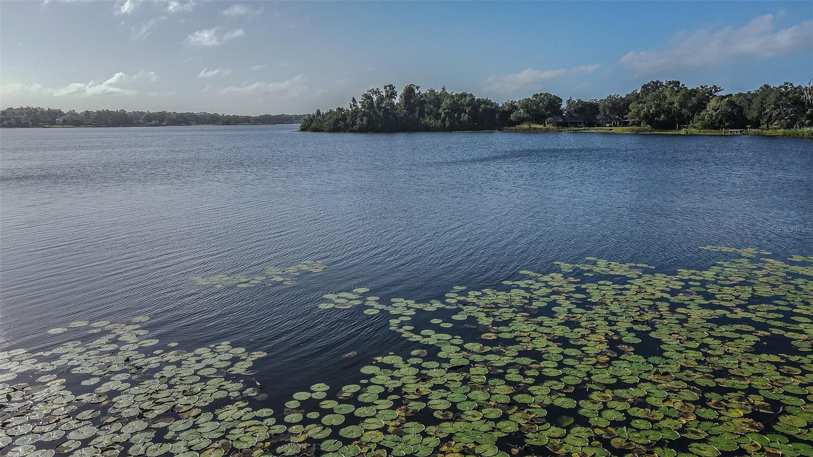 2125 W BEARSS AVENUE, Tampa, FL 33618