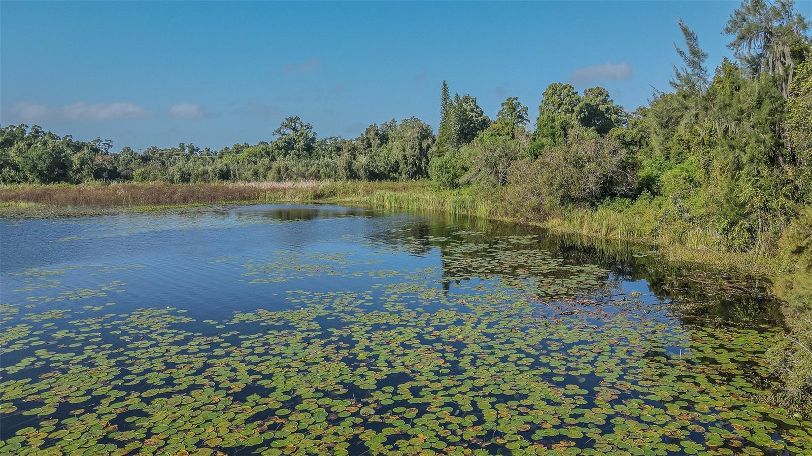 2125 W BEARSS AVENUE, Tampa, FL 33618
