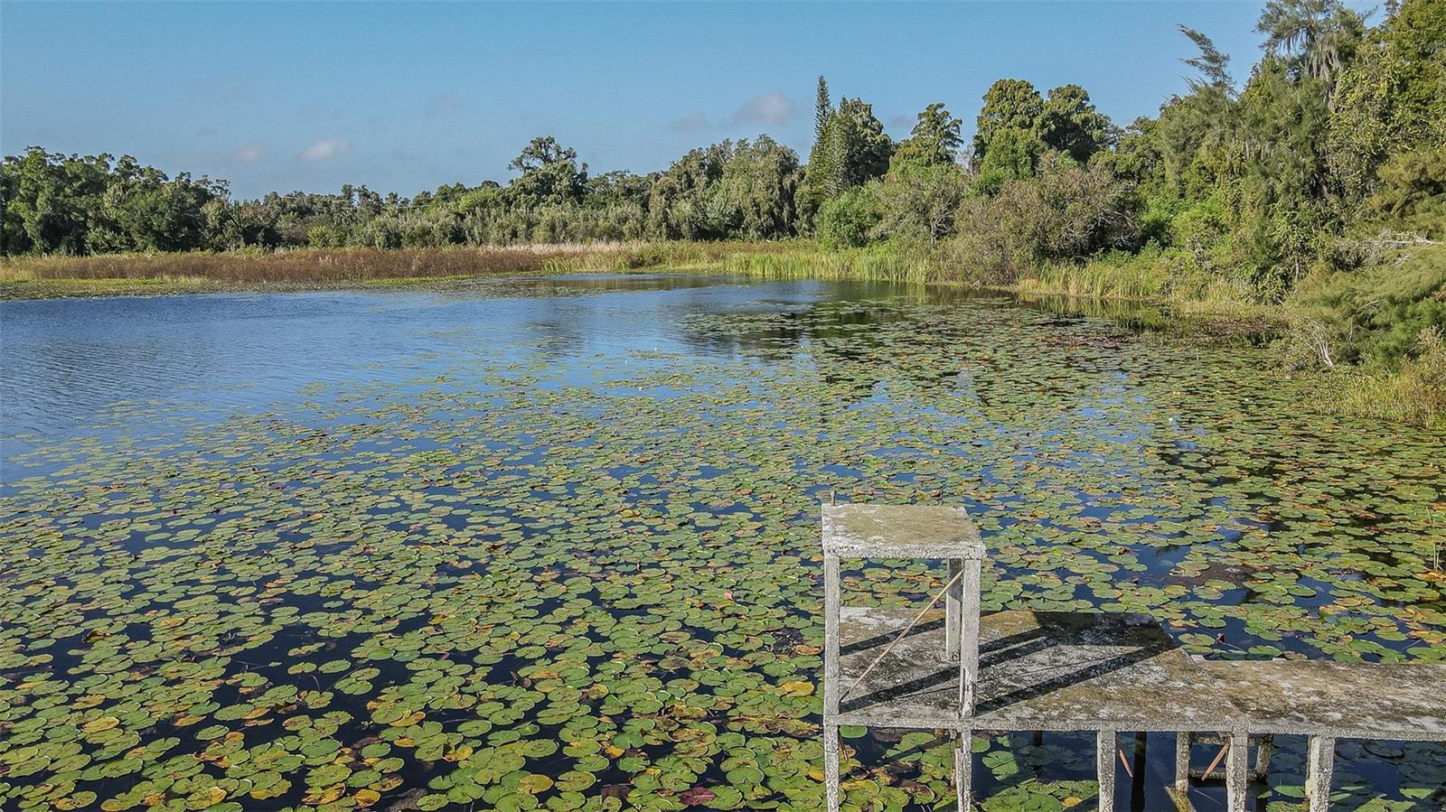 2125 W BEARSS AVENUE, Tampa, FL 33618