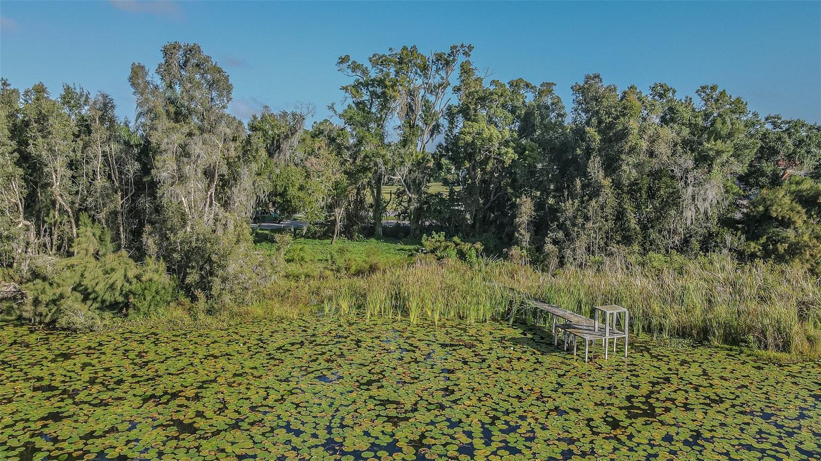 2125 W BEARSS AVENUE, Tampa, FL 33618
