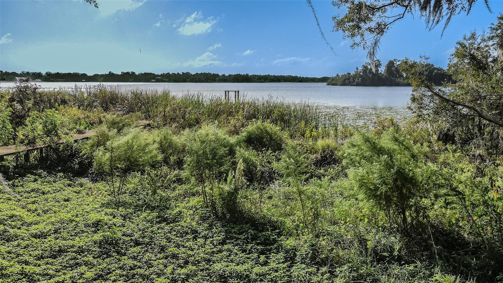 2125 W BEARSS AVENUE, Tampa, FL 33618