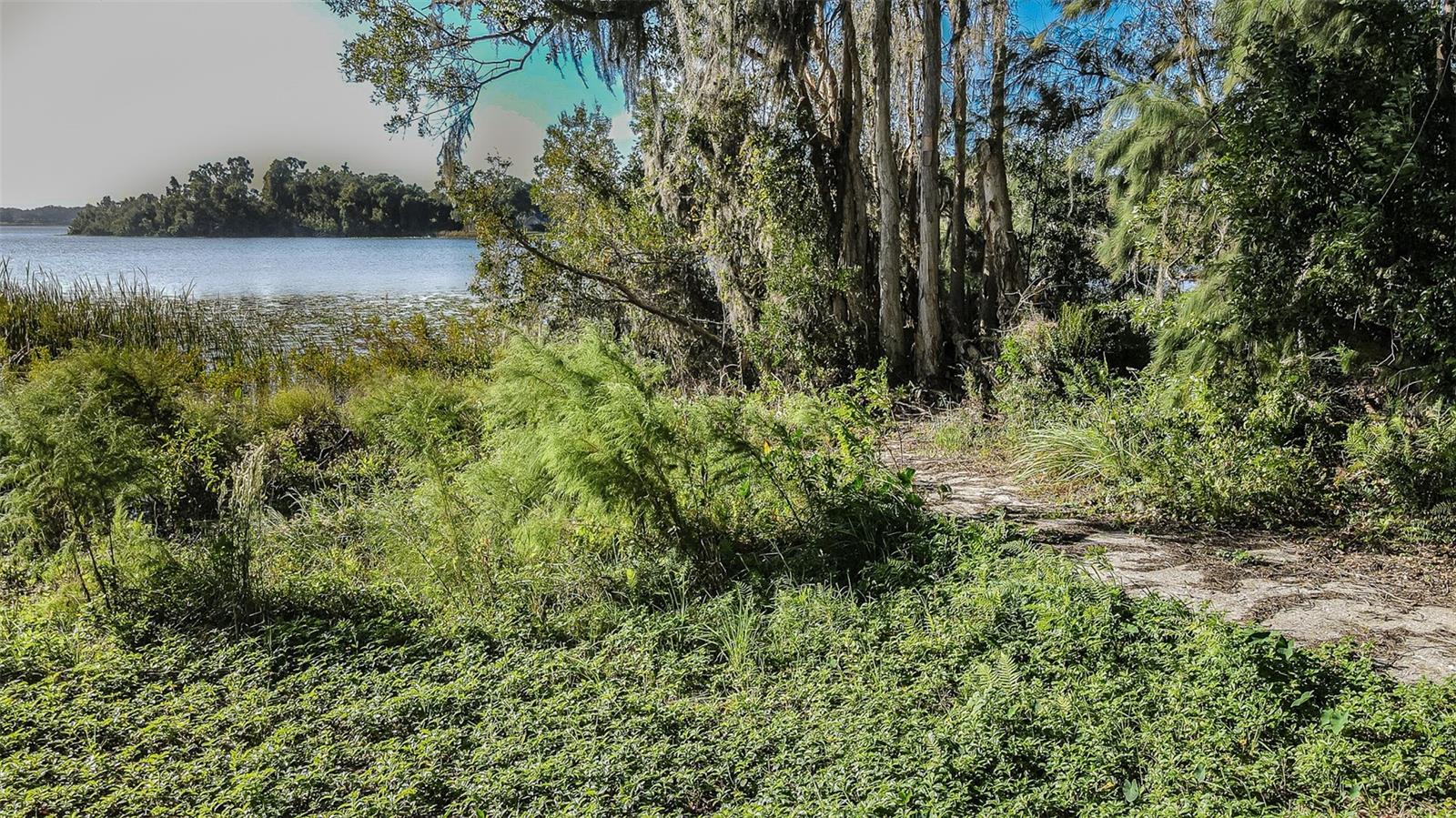2125 W BEARSS AVENUE, Tampa, FL 33618