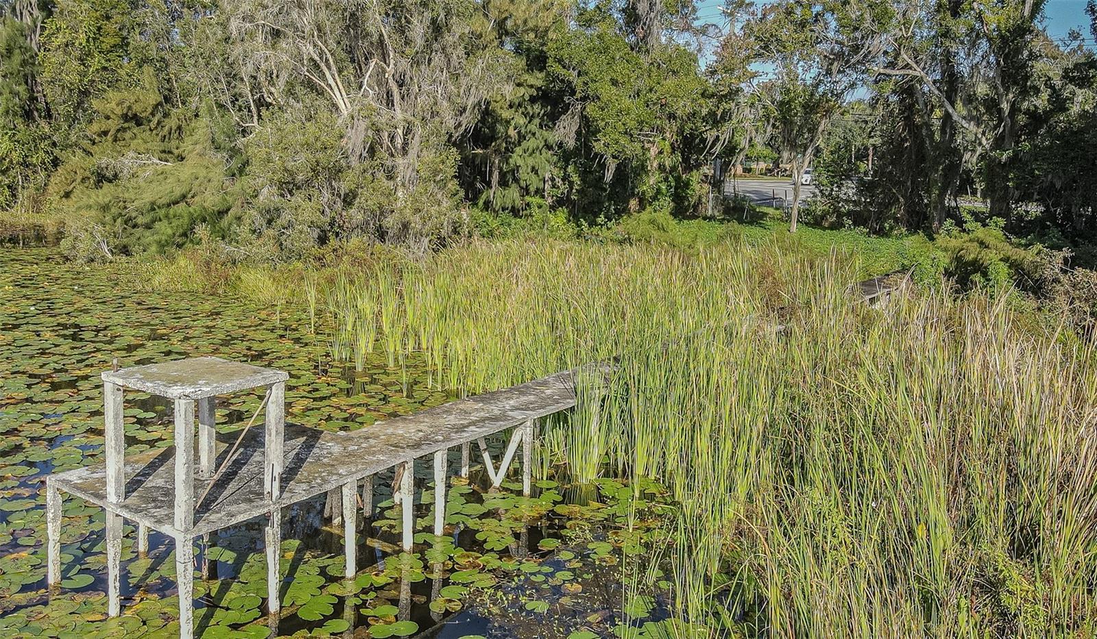 2125 W BEARSS AVENUE, Tampa, FL 33618