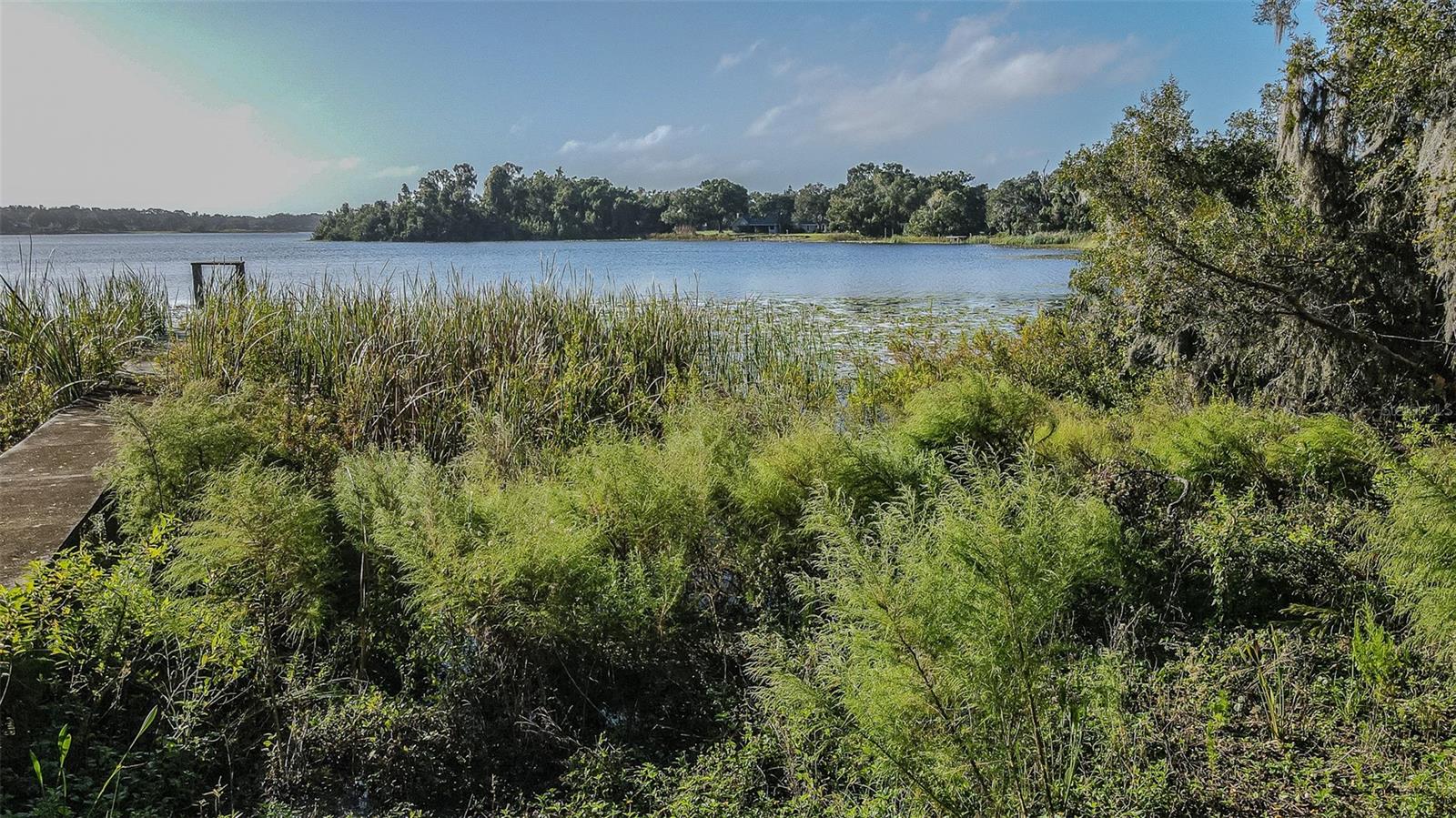 2125 W BEARSS AVENUE, Tampa, FL 33618
