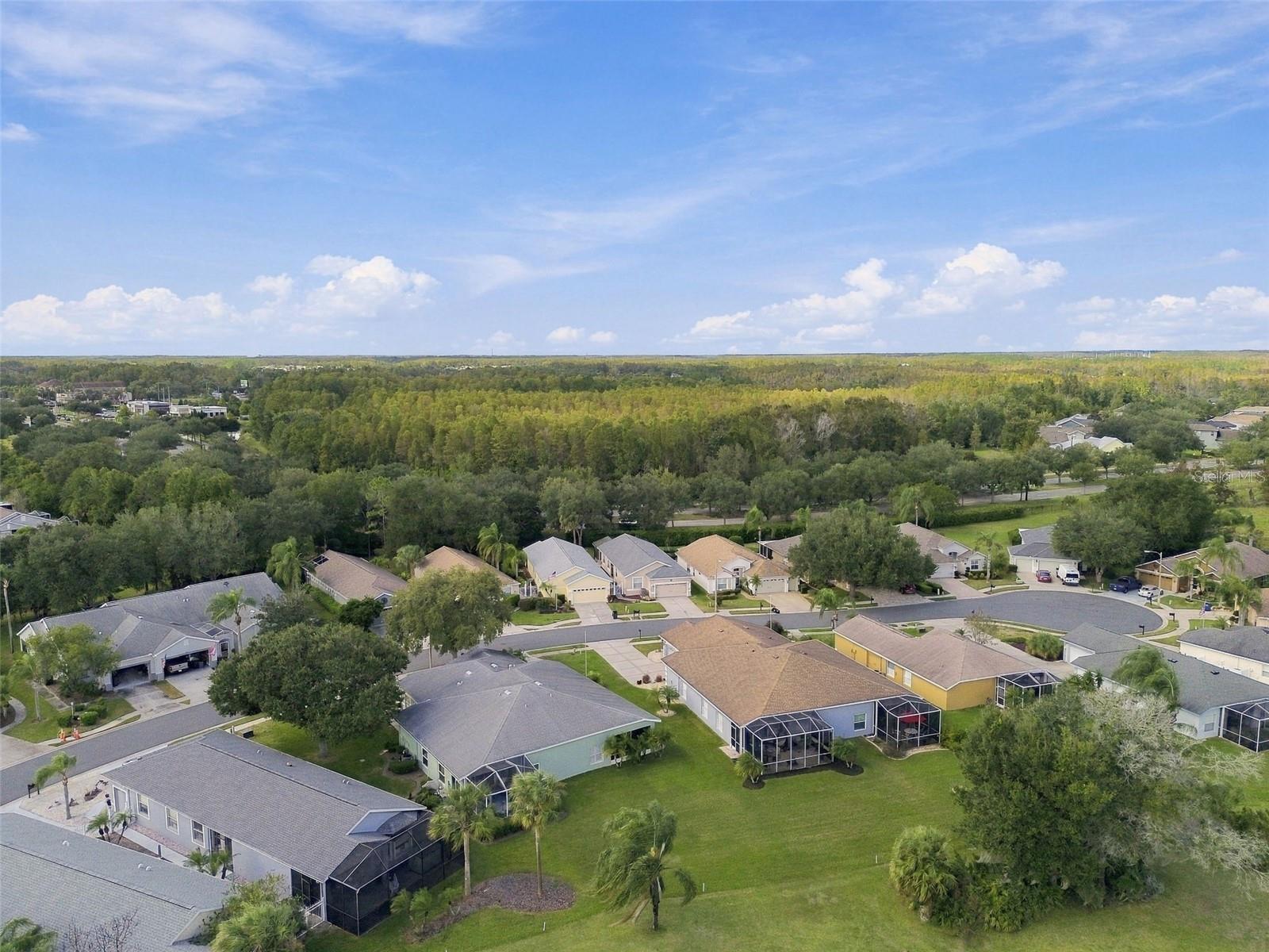8002 SHADDOCK PLACE, Land O Lakes, FL 34637