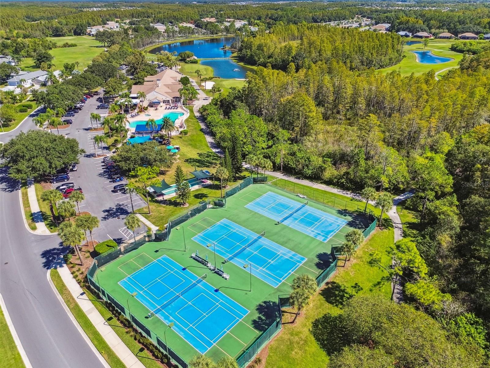 8002 SHADDOCK PLACE, Land O Lakes, FL 34637