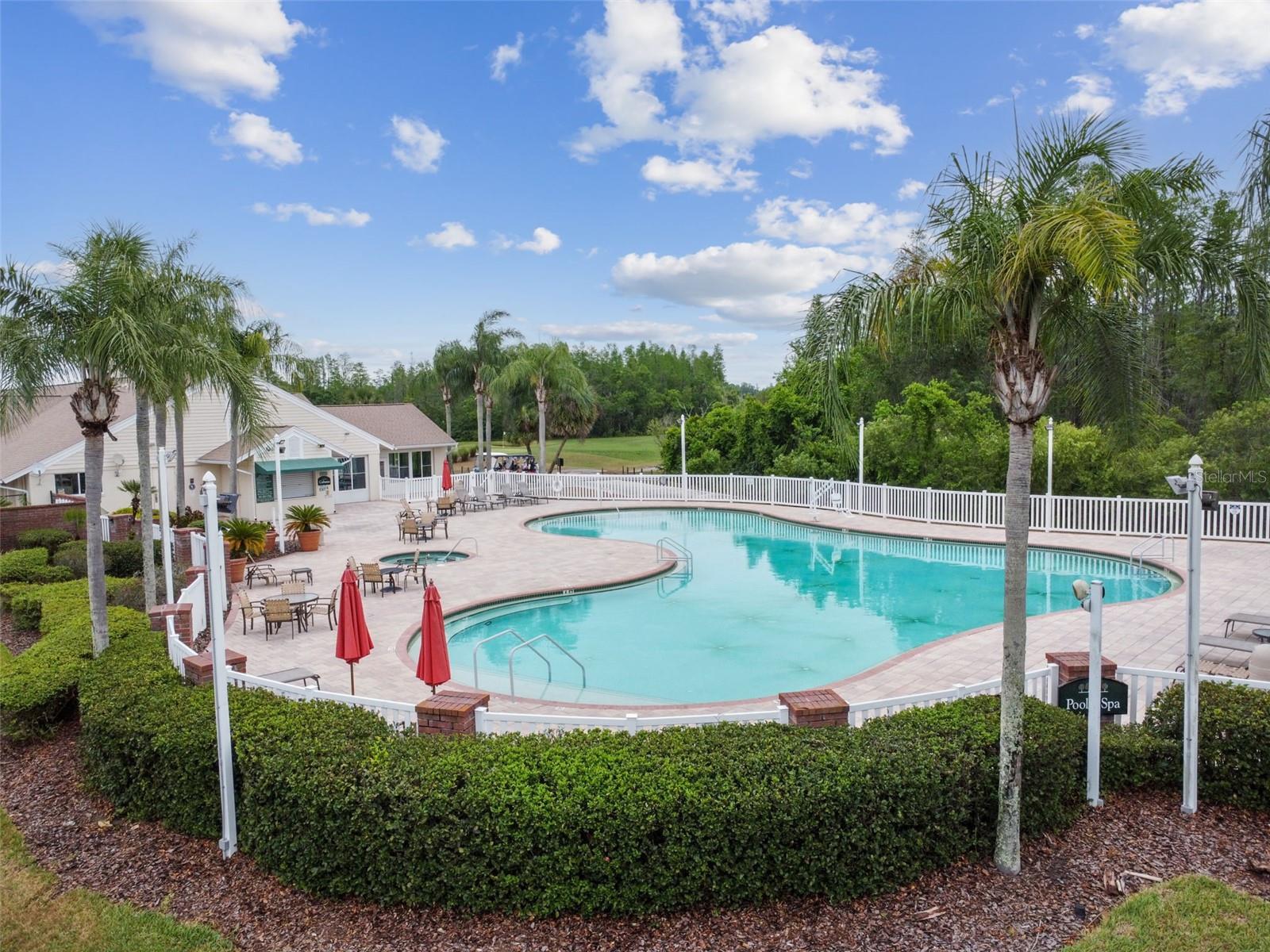 8002 SHADDOCK PLACE, Land O Lakes, FL 34637