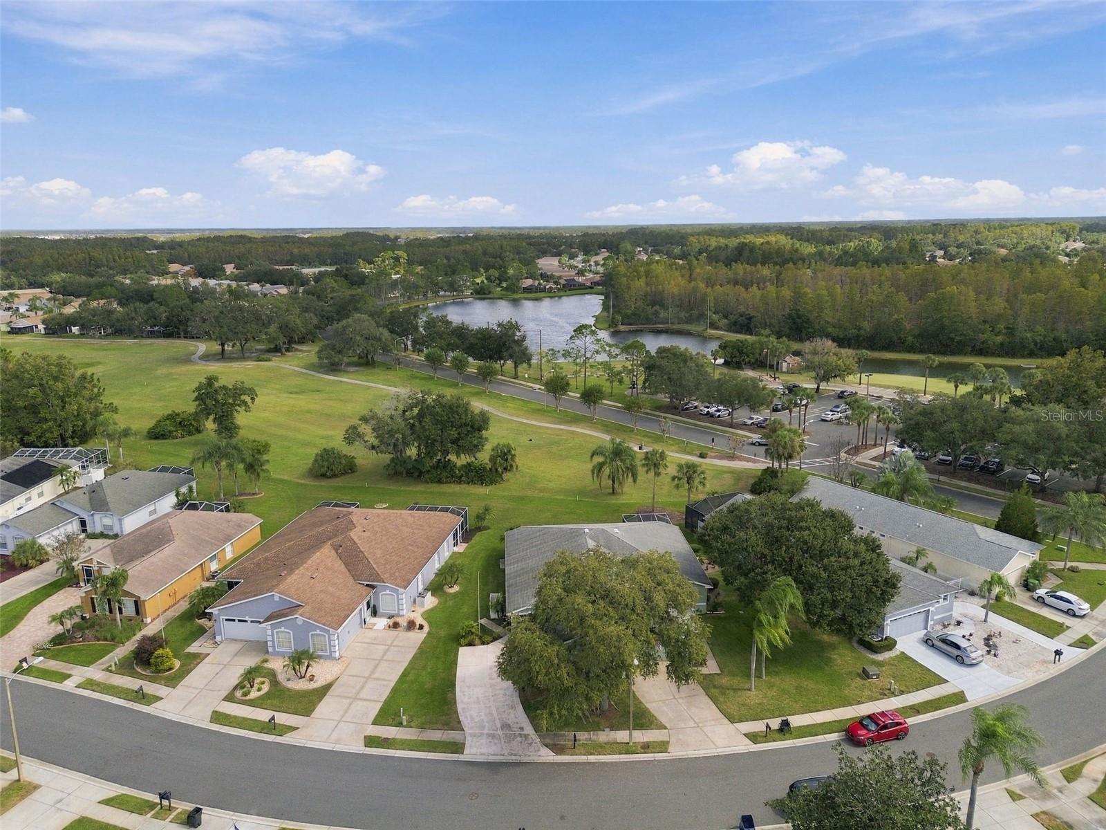 8002 SHADDOCK PLACE, Land O Lakes, FL 34637