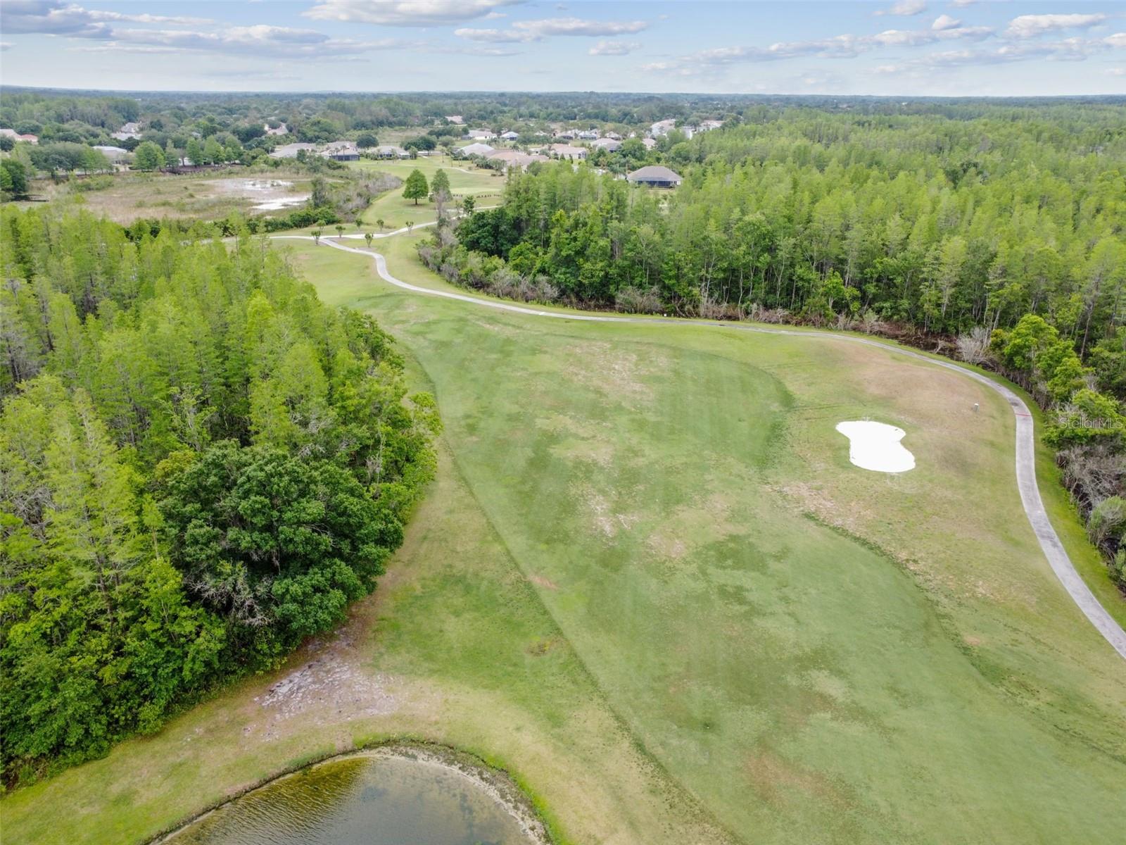 8002 SHADDOCK PLACE, Land O Lakes, FL 34637