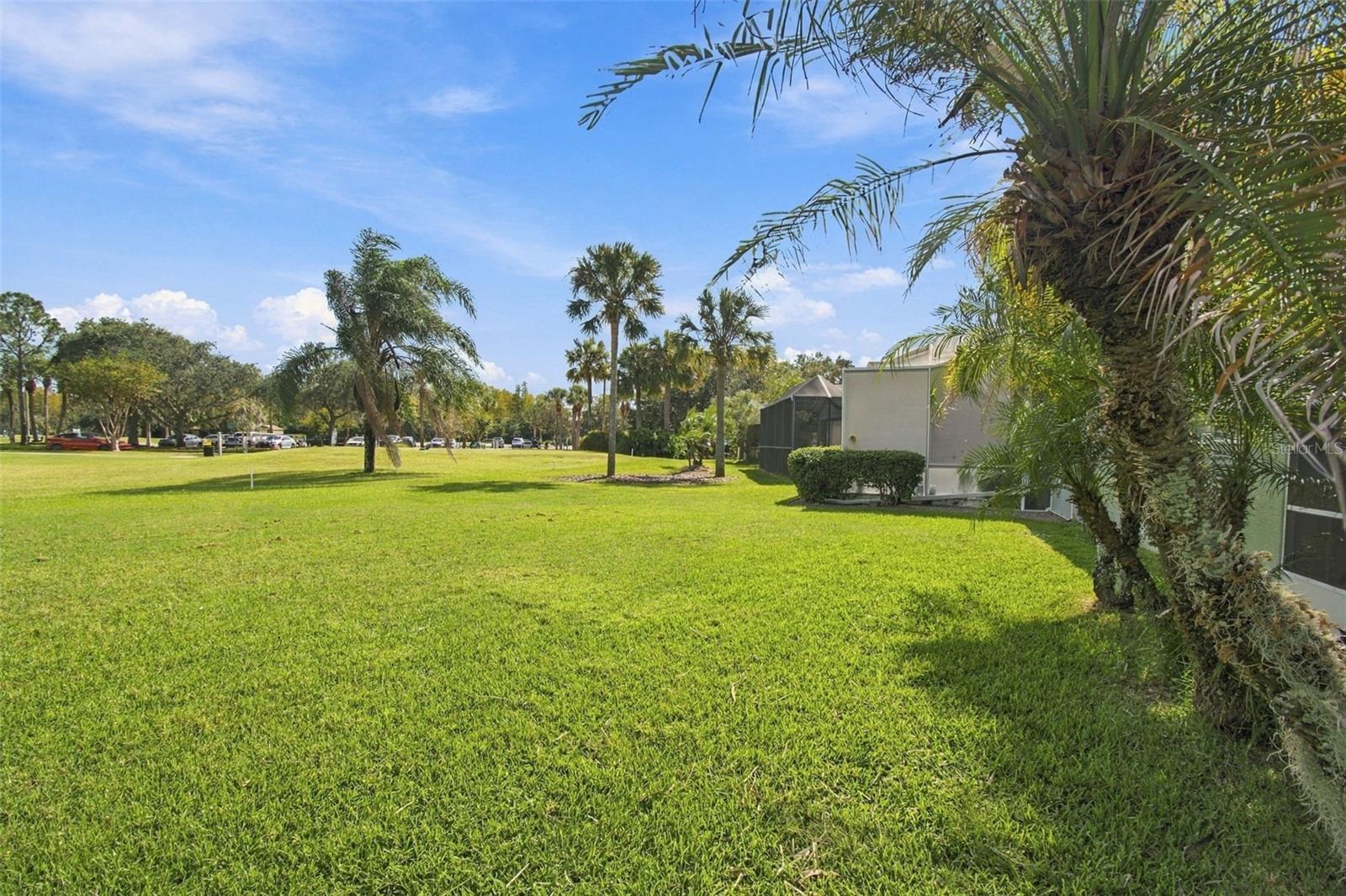 8002 SHADDOCK PLACE, Land O Lakes, FL 34637