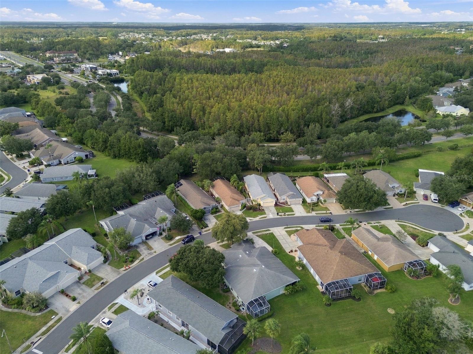 8002 SHADDOCK PLACE, Land O Lakes, FL 34637