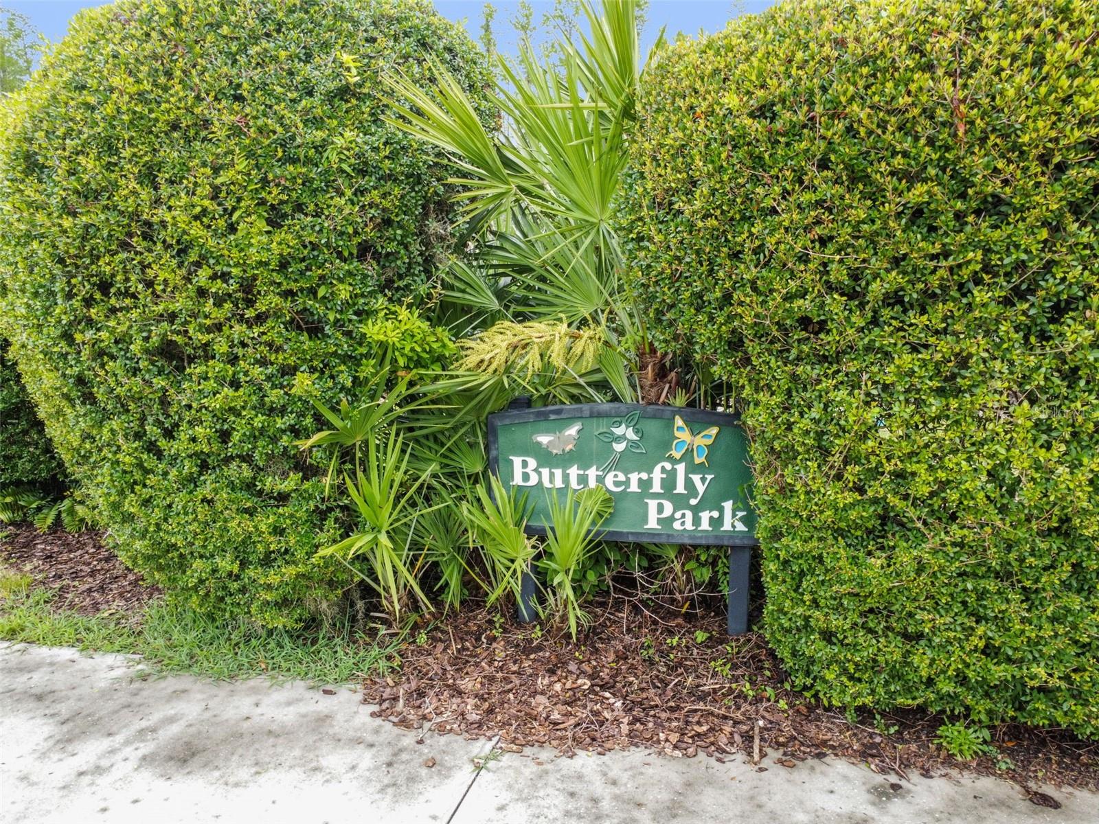 8002 SHADDOCK PLACE, Land O Lakes, FL 34637