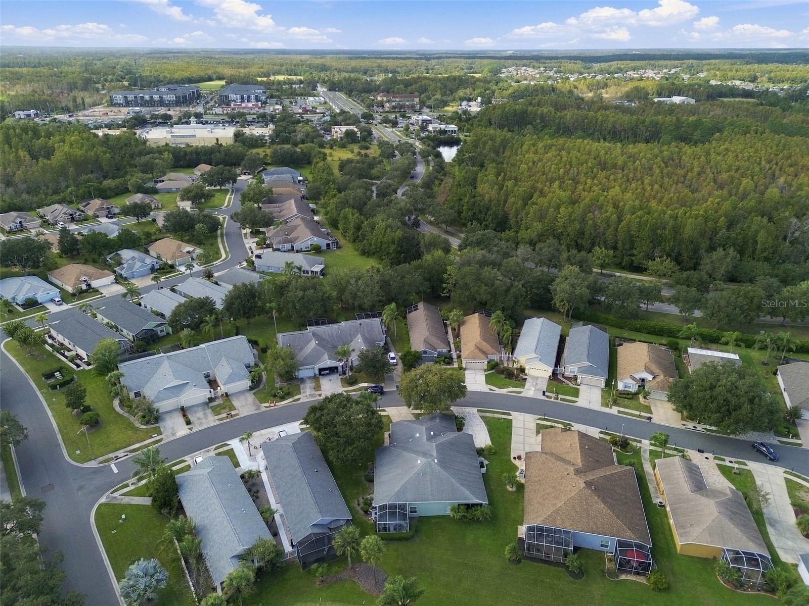 8002 SHADDOCK PLACE, Land O Lakes, FL 34637