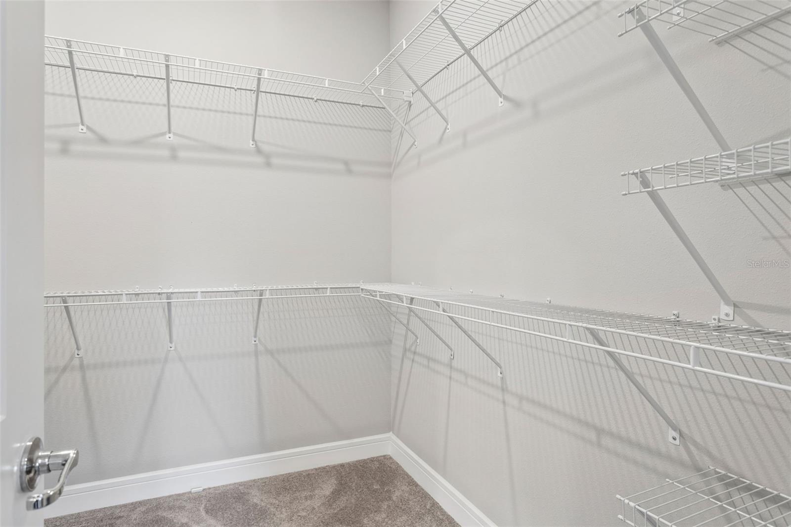 6382 BRADFORD WOODS DRIVE, Zephyrhills, FL 33542