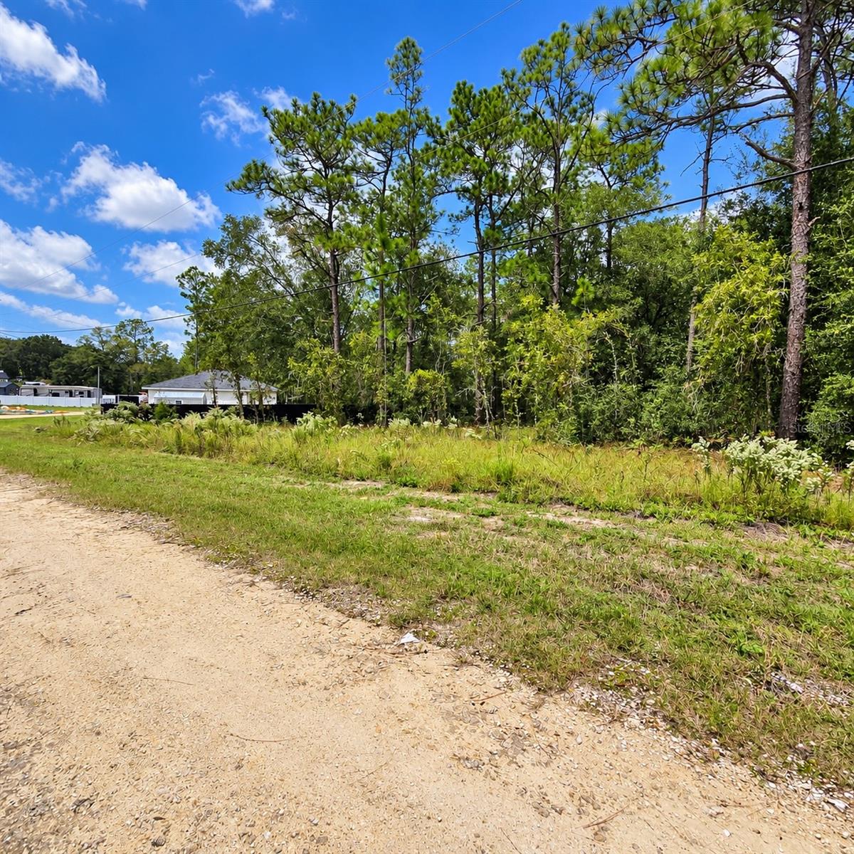 LOT 20 SW 142ND COURT, Ocala, FL 34481
