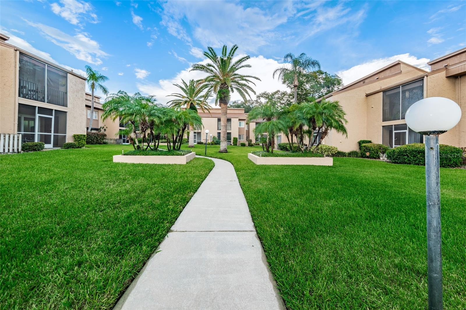 1575 GREENLEA DRIVE, #4, Clearwater, FL 33755 1575 GREENLEA DRIVE, #4, Clearwater, FL 33755