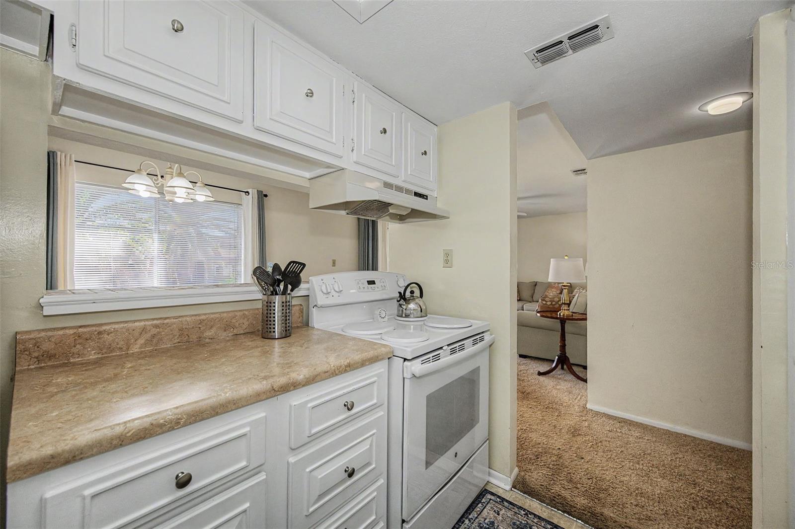 1575 GREENLEA DRIVE, #4, Clearwater, FL 33755