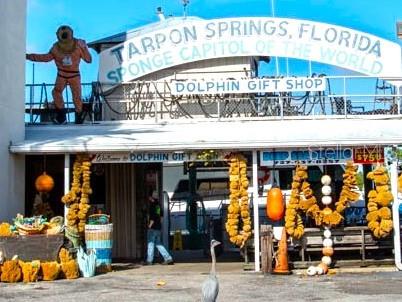 1250 S PINELLAS AVENUE, #1007, Tarpon Springs, FL 34689