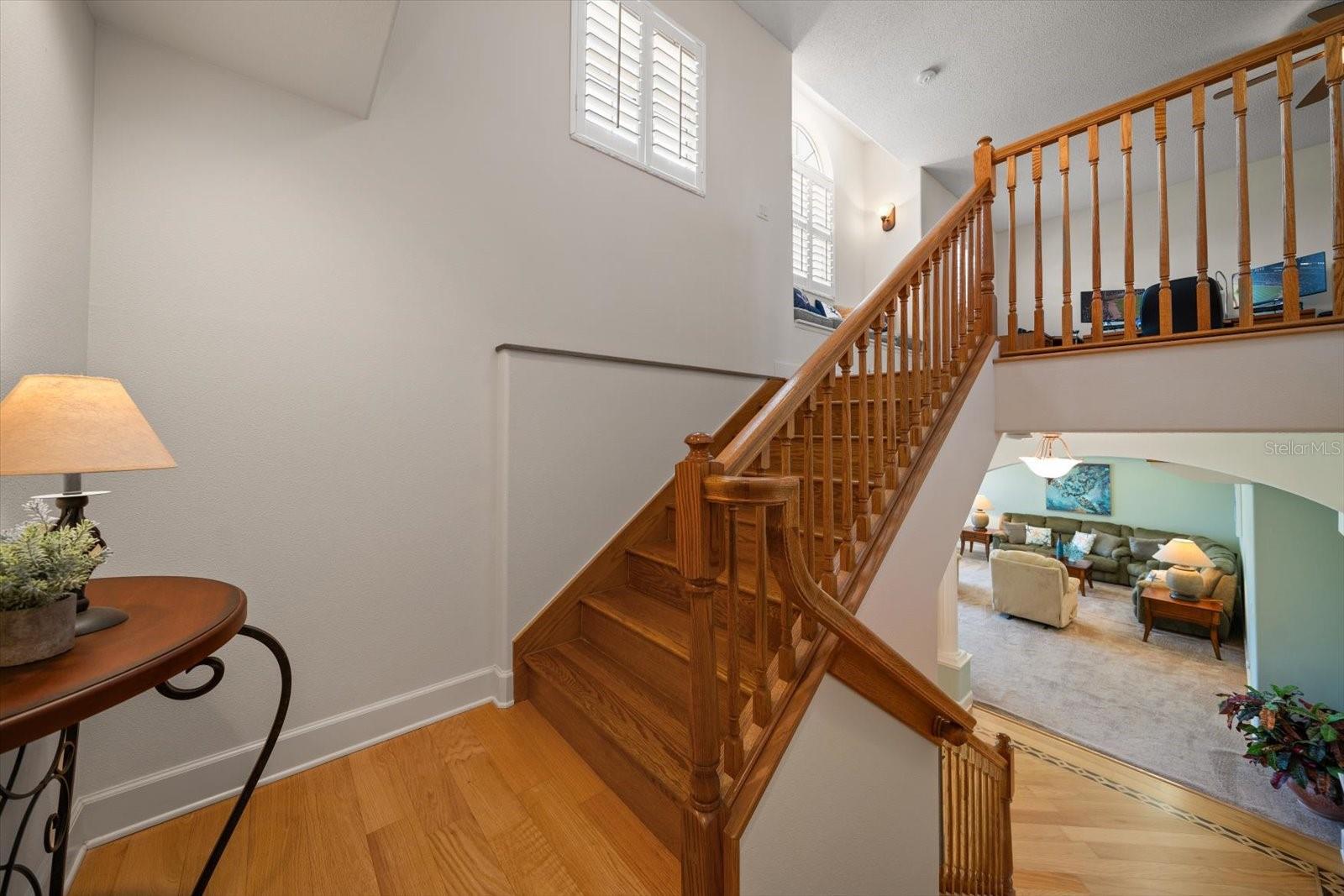 3397 BLUEFISH DRIVE, Hernando Beach, FL 34607