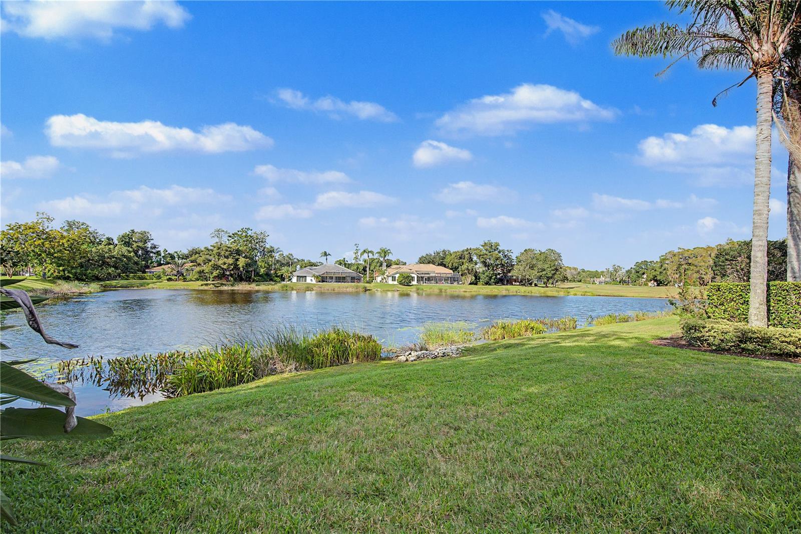 1334 FALLSMEADE COURT, Oldsmar, FL 34677