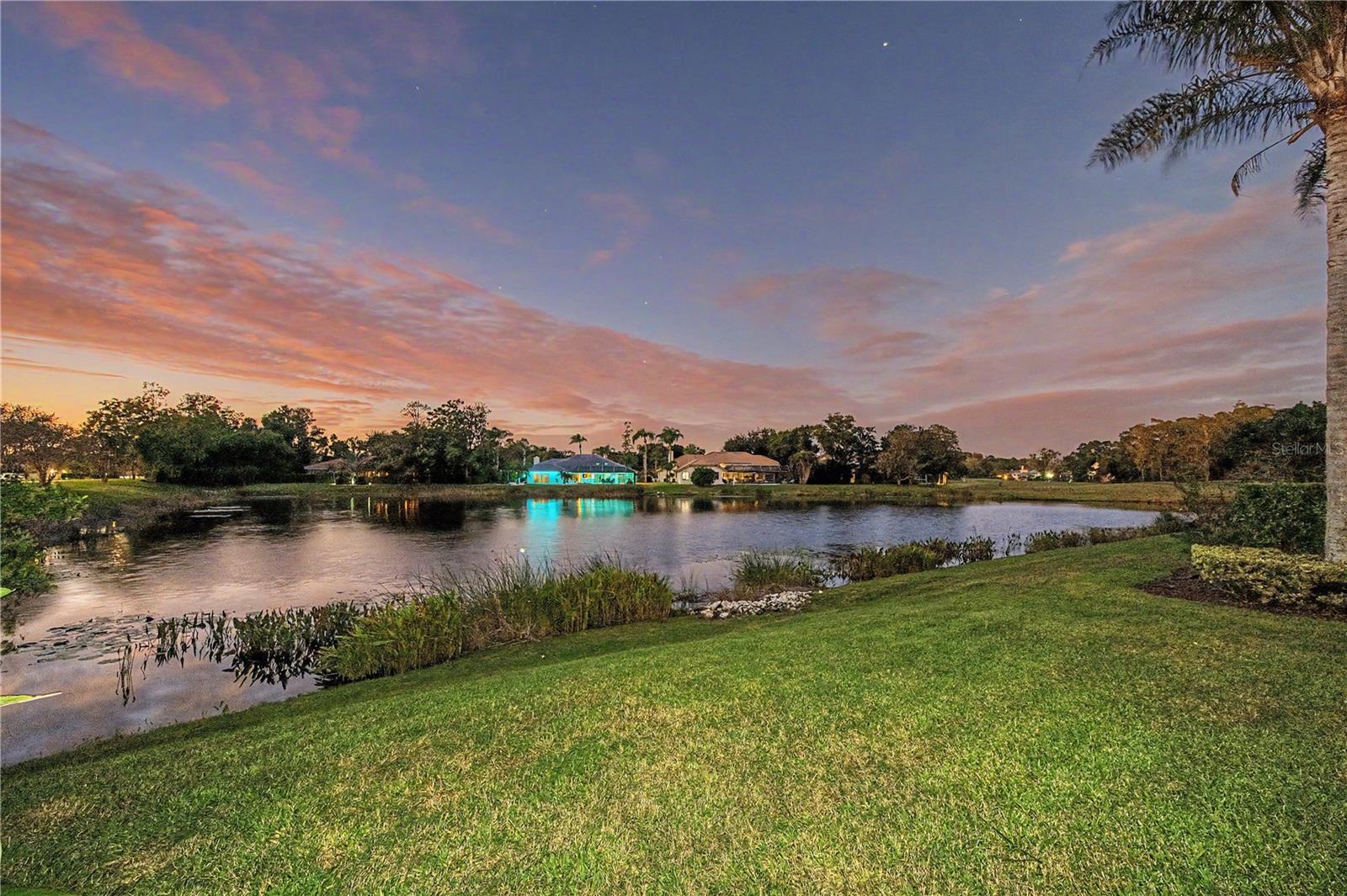 1334 FALLSMEADE COURT, Oldsmar, FL 34677
