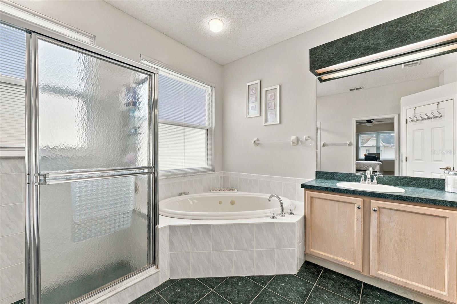 Primary Bathroom with Walk-In Shower and Tub