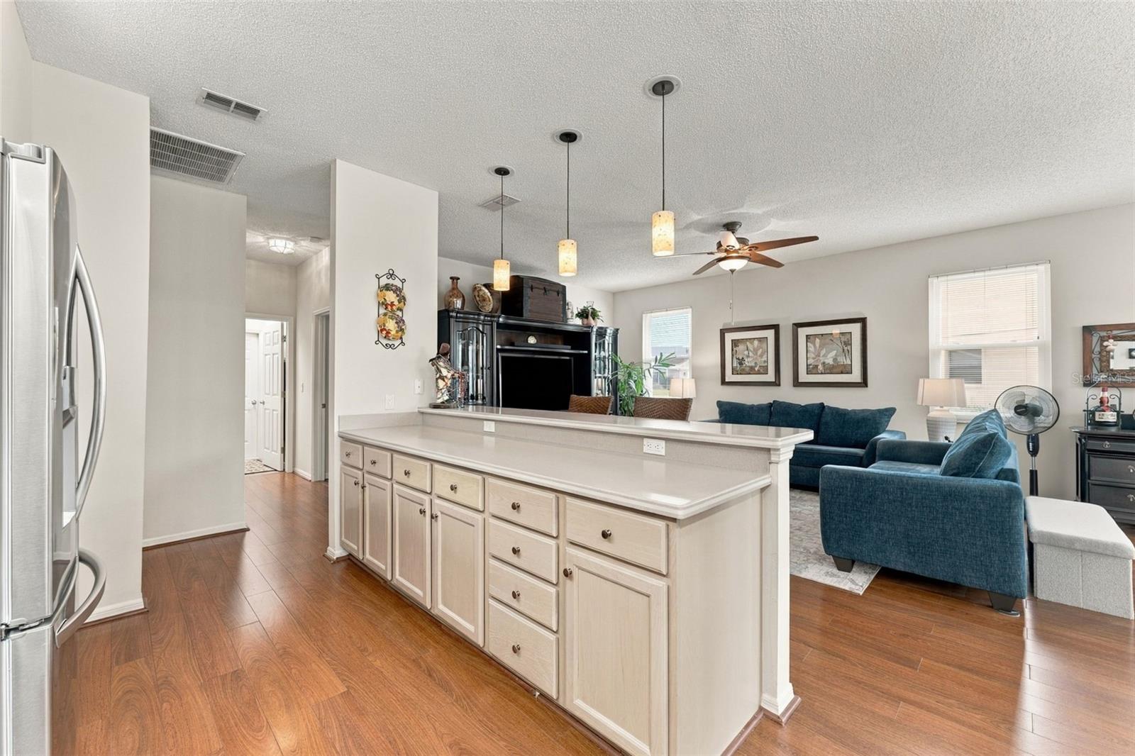 Family Room and Kitchen Combo