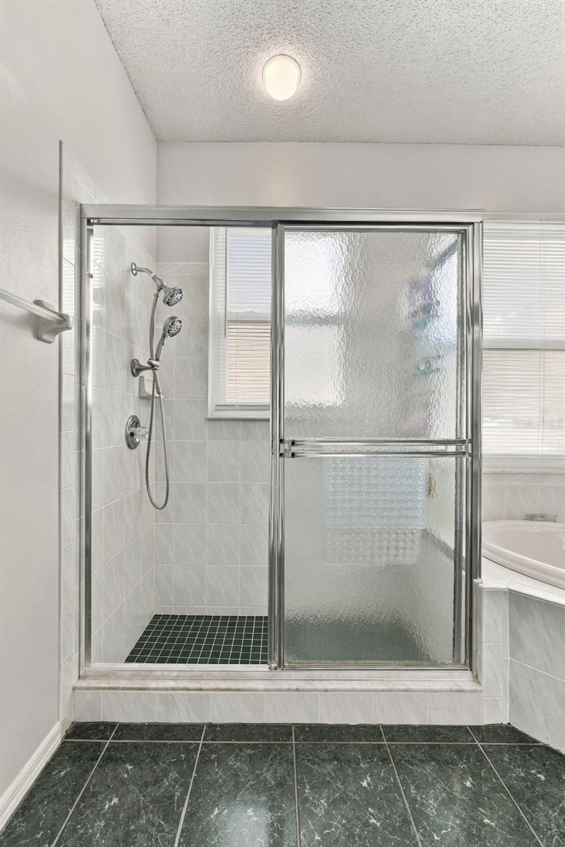 Walk-In Shower with Glass Enclosure