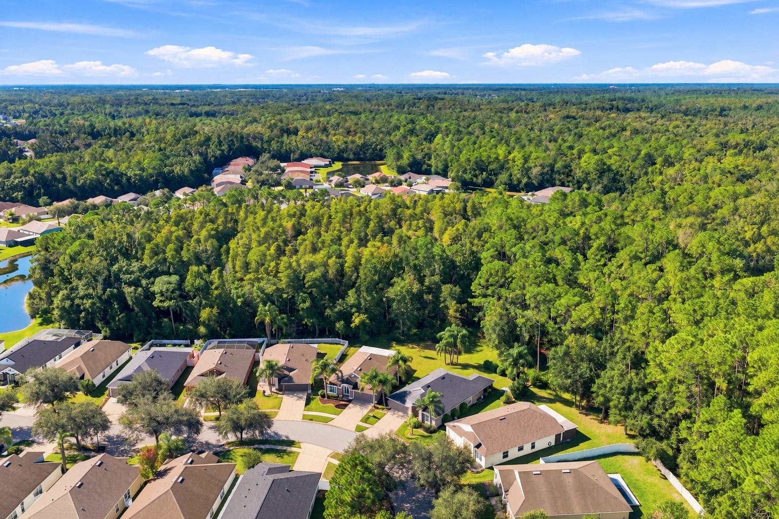 5229 ALGERINE PLACE, Wesley Chapel, FL 33544