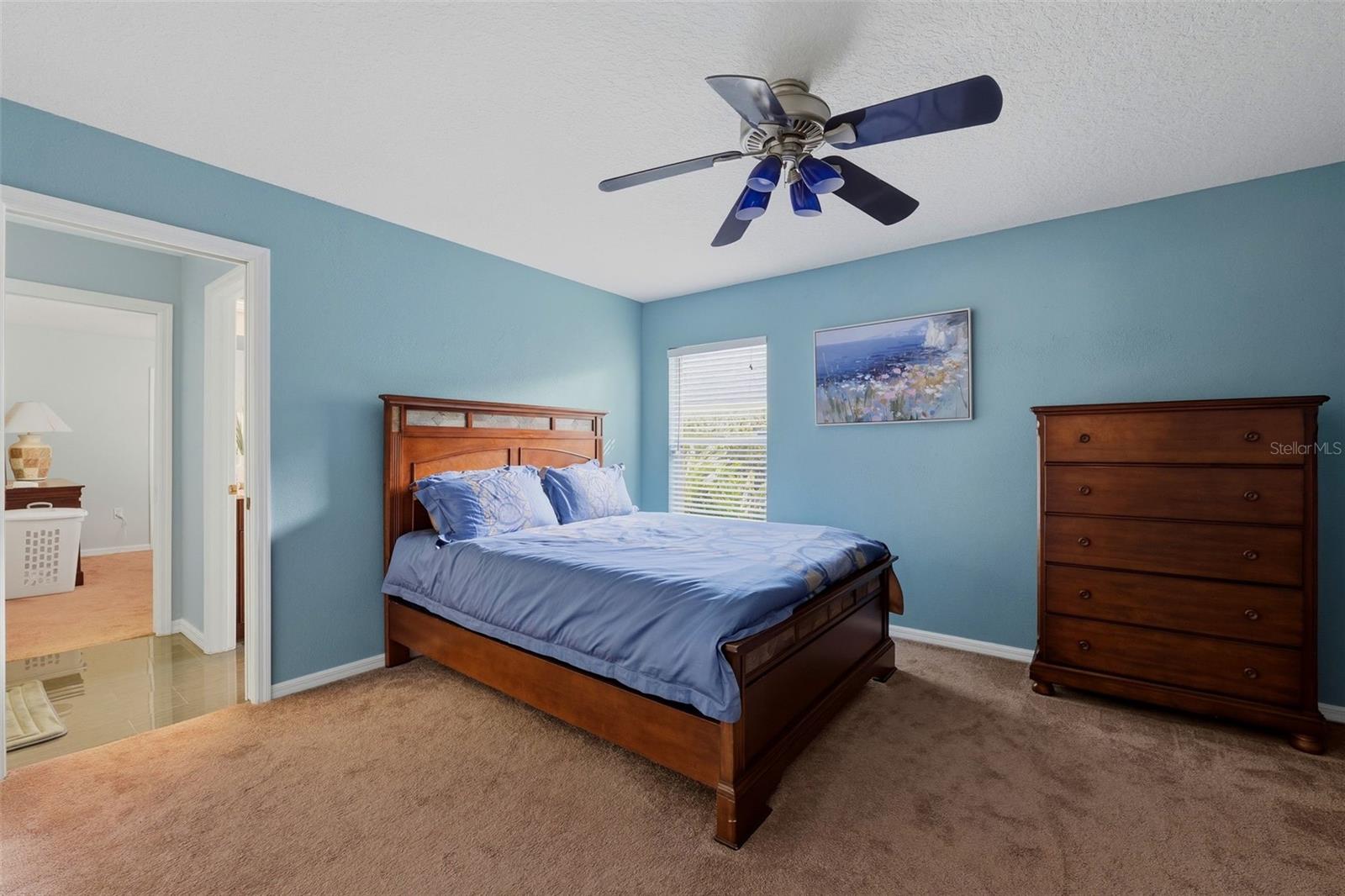5113 COOPERS HAWK COURT, Valrico, FL 33596