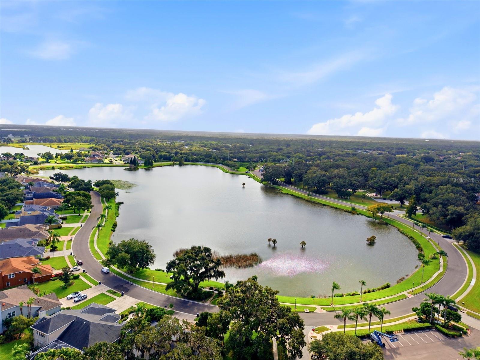 Twin Lakes Neighborhood Lake/Pond