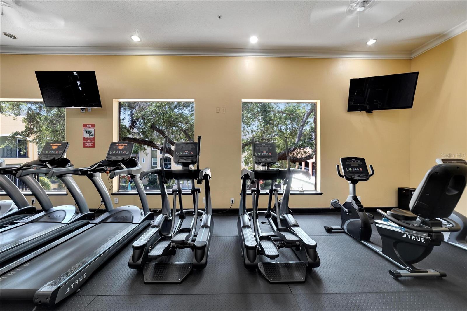 2010 E PALM AVENUE, #14217, Tampa, FL 33605