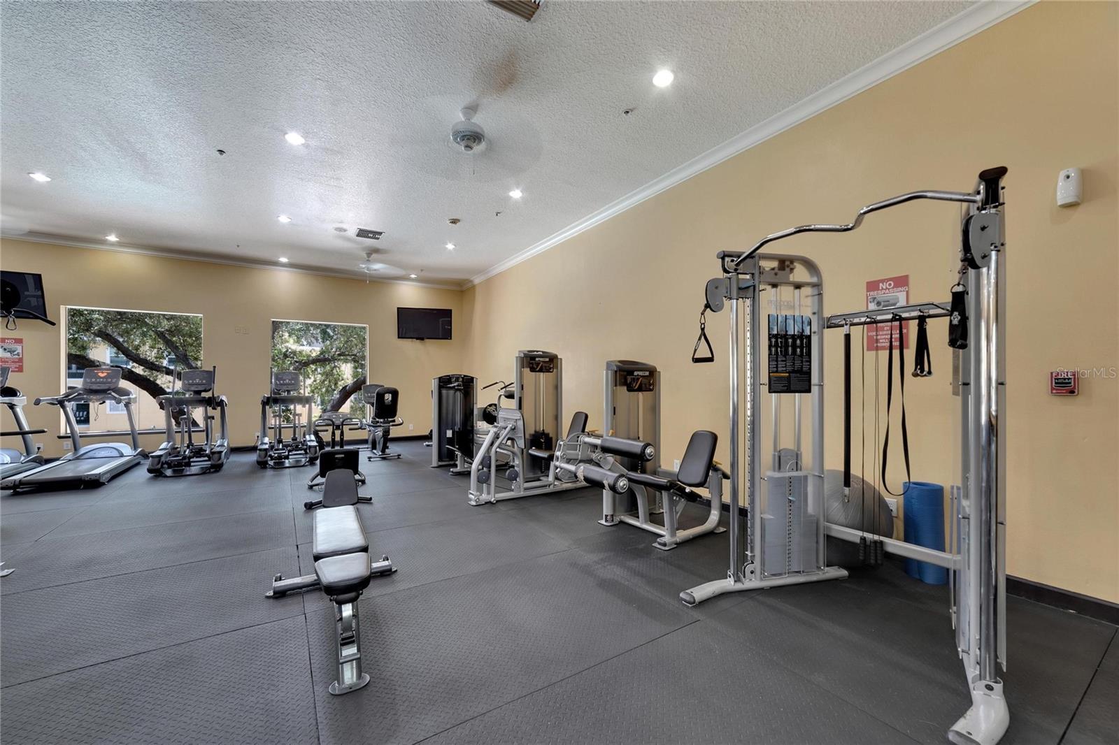 2010 E PALM AVENUE, #14217, Tampa, FL 33605