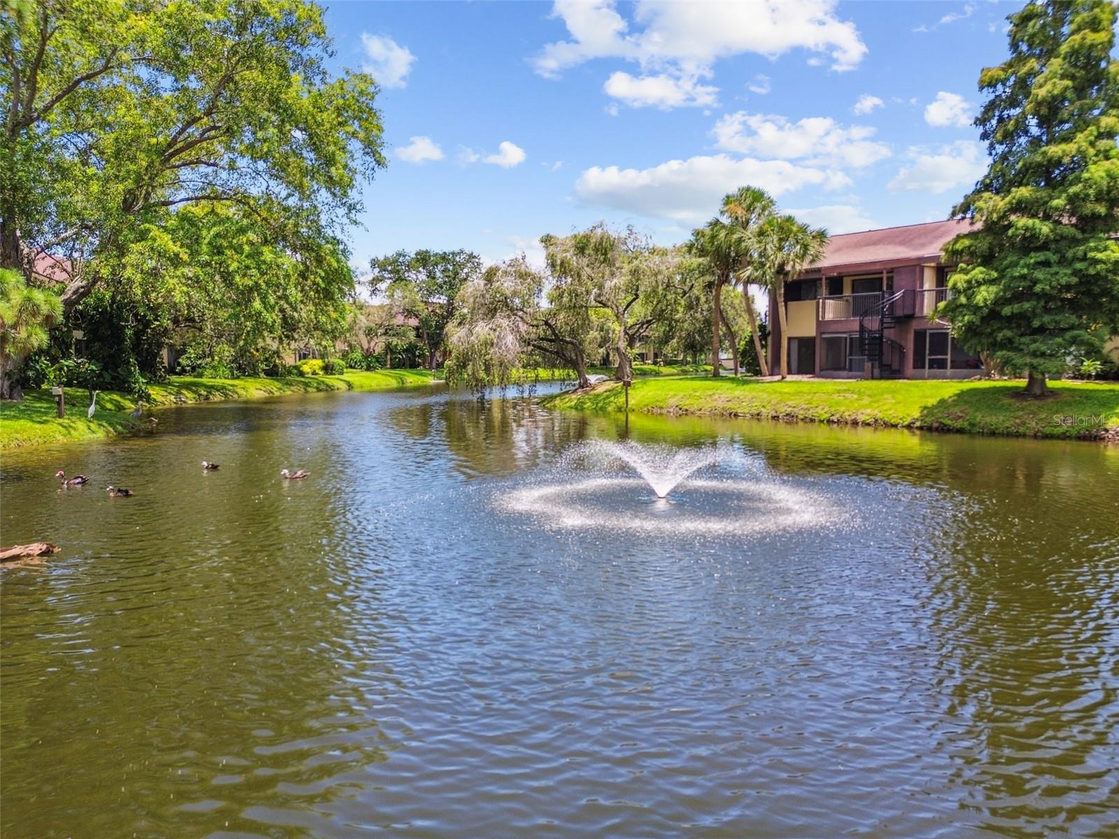 875 S VILLAGE DRIVE N, #104, St Petersburg, FL 33716