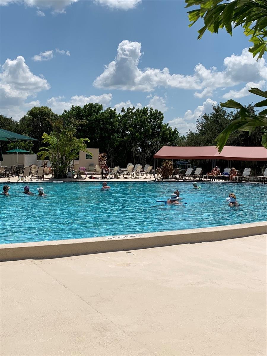 North Club Outdoor Pool