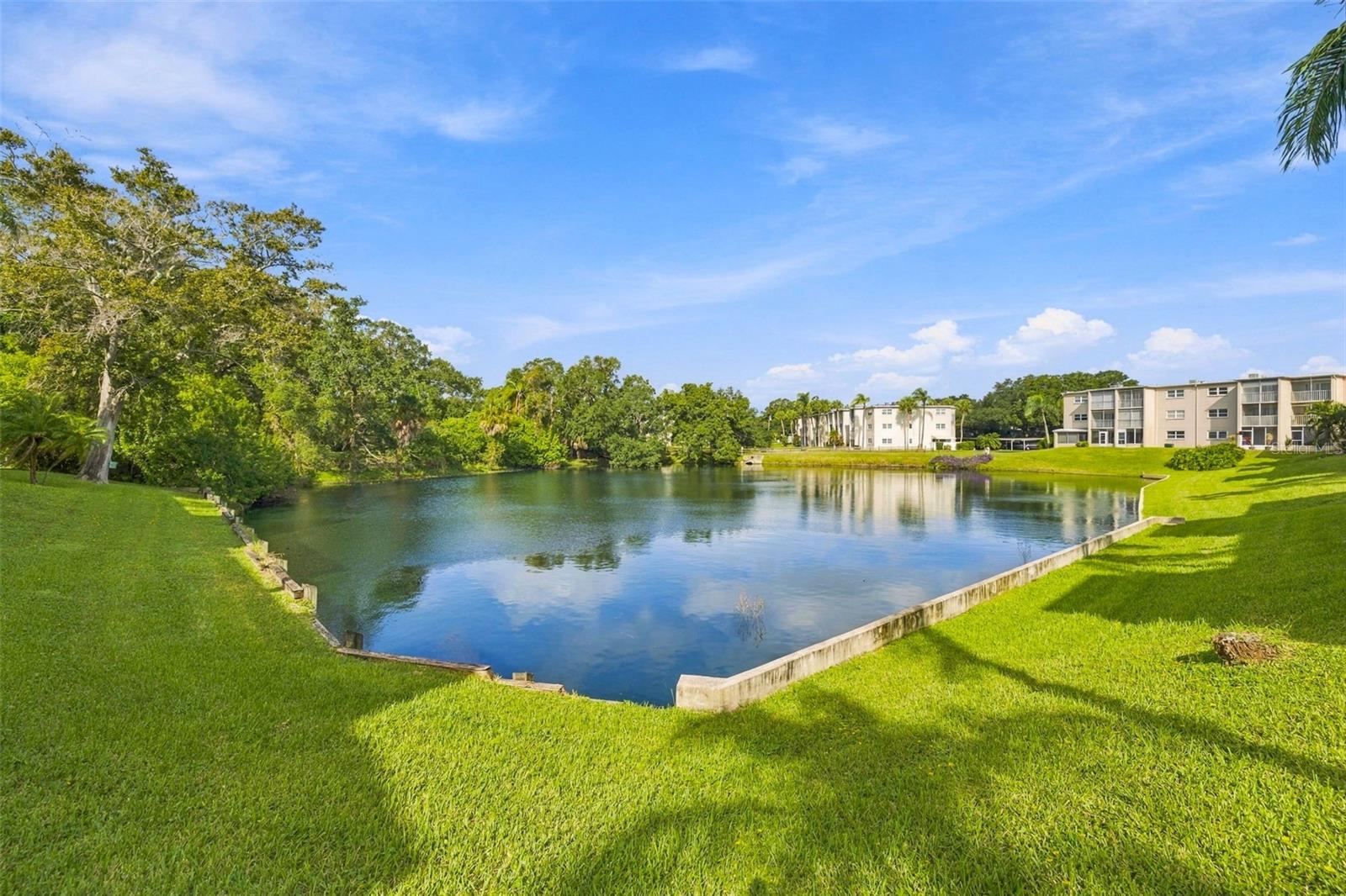 960 VIRGINIA STREET, #206, Dunedin, FL 34698