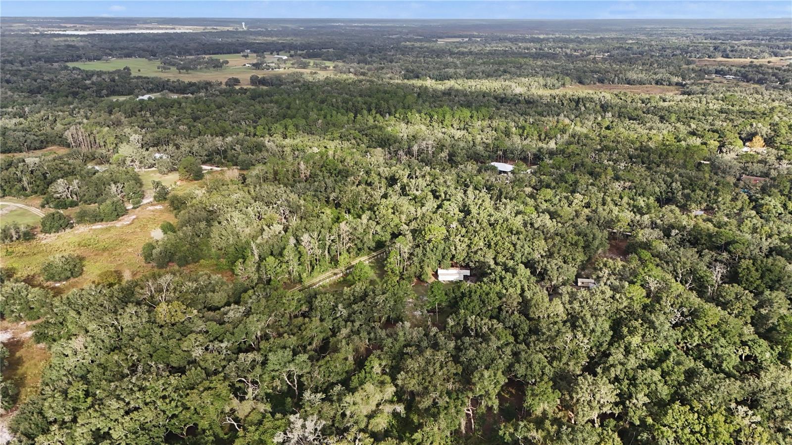 34192 OAK HAMMOCK DRIVE, Dade City, FL 33523