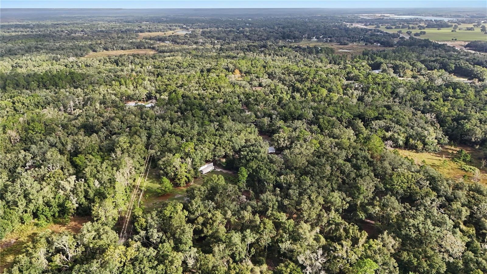 34192 OAK HAMMOCK DRIVE, Dade City, FL 33523
