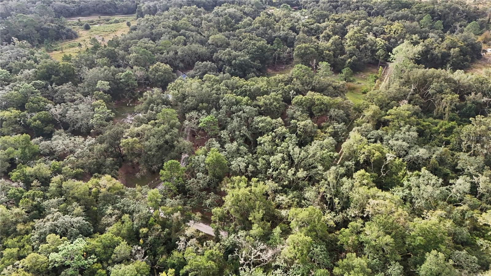 34192 OAK HAMMOCK DRIVE, Dade City, FL 33523